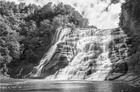 Forest Waterfall